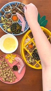 187K views · 347 reactions | Discover the ultimate nutrition for your furry friend with Open Farm's freeze-dried raw dog food. Shop Open Farm today!  | Open Farm | Facebook