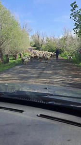 Sivas Kangal ilçemizden | Sivaslılar