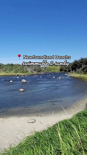 Newfound = white sand beaches! Surprised? #newfoundland #traveltips #beaches #travel #fypシ #fyp #canada #travelinspo