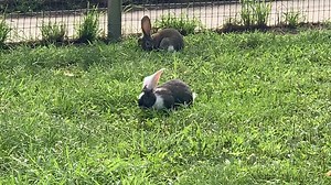 2.3K views | Indian Creek Zoo on Reels | Facebook