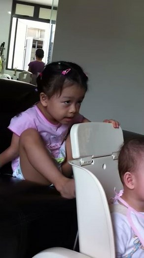 Your Baby Can Read DVD