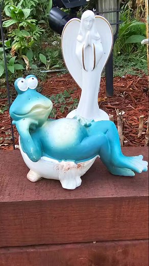 Miren esto | Nelson.Real