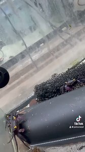 Say hello to the enchanting Purple Vampire Crab! 呂 With its deep purple hues and striking appearance, this little crab brings a touch of mystery and elegance to your terrarium. Perfect for those who appreciate unique and colorful creatures, the Purple Vampire Crab is sure to captivate and amaze. Ready to add some regal purple vibes to your setup? 呂✨ #PurpleVampireCrab #TerrariumElegance #ColorfulCritters #AquaticLife | Pet Zone Tropical Fish, San Diego, California | Facebook