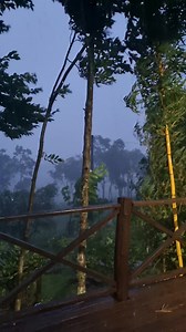 15K views · 456 reactions | Agora, Linha Araripe, NP | Jornal Integração | Facebook