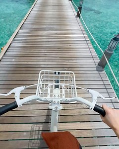 2.9K views · 29 reactions | Stephanie Davis on Reels | Facebook