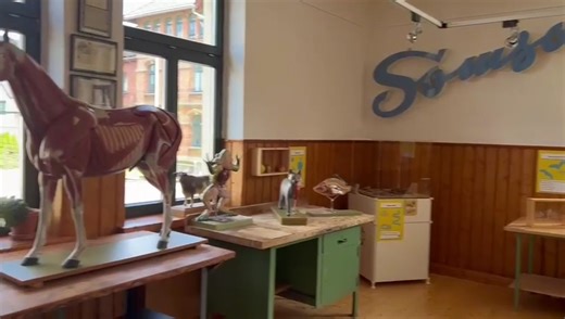 A fabulous visit to the Somso Anatomy Model Museum in Germany yesterday - it was fascinating and not just horses.....Gillian takes us on a whistlestop tour 😁 | Horses Inside Out