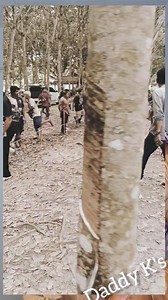 4.2K views · 47 reactions | What a game.. ❤️ #Chicken #game #happy #happypeople #unity #forest #cocks #trend #goviral #goodvibes #highlights #Wow #funny | Daddy Ks | Facebook