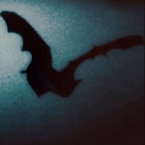 33K views · 2K reactions | Nosferatu 1922 驪 Nosferatu the Vampyre 1979 | Gothic to Death | Facebook