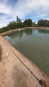 Alright geng waazzaaappp! | CHAI Fishing