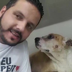 Pessoal Shazan está de alta🙏 Fez a cirurgia da retirada do olho, foi castrado, agora ficará aos cuidados da pessoa que viu ele na rua e pediu ajuda. Conseguimos pagar todo os custos R$ 1.188,50, recibo está nas fotos. Obrigado😉 Interessados em ficar com ele podem entrar em contato comigo, visto q a Letícia poderá ficar temporariamente e está procurando adotantes para ele. Por tudo que ele passou ele é arisco. Estamos em Mauá SP | Alessandro Martins