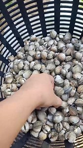 3.2K views · 171 reactions | คืนเคาท์ดาวน์ อบอุ่นและขอบคุณปี2023 เริ่มต้นสิ่งดีดีกับปี2024 ขอบคุณแฟนเพจทุกท่านนะคะ #แม่ใหญ่มักขอ #เคาท์ดาวน์ #ปีใหม่ | บีเอ็ม ชาแนล BM Channel | Facebook