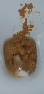 Desperate sloppy shit on mates loo this morning