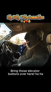 40K views · 436 reactions | Itty Bitty Titty Committee #BellbirdHollow #ollythekoala | Bellbirdhollow | Facebook