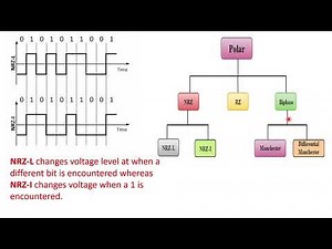 CLASS-1 || Computer Network || Network Structure.||Physical Layer|| RPSC PROGRAMMER || CN