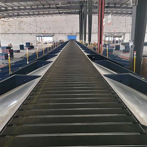 [Hot Item] Truelisort E-Commerce Warehousing Space-Saving Narrow Belt Sorting Machine