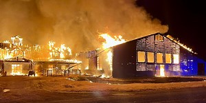 ‘Numerous’ horses killed, 1 person hospitalized in massive barn fire