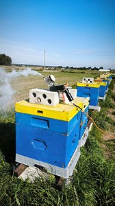 🐝 Zalety sublimacji kwasu szczawiowego w walce z Varroa destructor: ✅ Możliwość zabiegu przy niskiej temperaturze ✅ Wysoka skuteczność przeciwko Varroa destructor ✅ Nie skaża środowiska ula (w przeciwieństwie do preparatów syntetycznych) ✅ Krótki czas zabiegu i łatwość stosowania ✅ Brak ryzyka wytworzenia odporności roztoczy ✅ Kwas szczawiowy jest tani i łatwo dostępny ✅ Pszczoły dobrze tolerują zabieg | Pasieka Marcyś