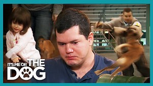 Can Victoria Stilwell avert disaster and convince this family not to train their puppy to bite? Get more dog training tips from Victoria on her official site: https://positively.com To enroll in Victoria’s dog training courses at the Victoria Stilwell Academy: https://www.vsdogtrainingacademy.com | Me Or The Dog