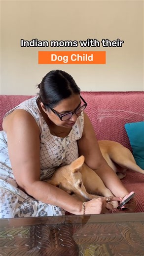 Heads Up For Tails | HUFT on Instagram: "Pet parents will not admit but they know - the dog child gets it all! That’s why HUFT’s biggest sale of the year is back! 🧡 🐾 Up to 60% OFF across categories! 📅 4th to 8th September Hurry before Sultan buys everything himself. You snooze, you lose! Visit HUFT.com or your nearest HUFT store and SHOP NOW!! #HUFT #HeadsUpForTails #SarasSeptember #Sale #HersheyTheIndie #IndieDogsOfInstagram [Dogs, Cats, Sale, Treats, Food, Toys, Indie Dogs, Pet Products, P