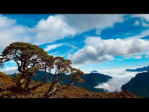 Climbing One of Taiwan’s Highest Peaks by Daybreak | North Hehuan Hike 🇹🇼”