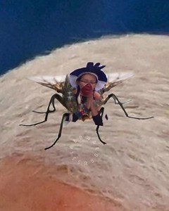 18 reactions | Clownsec on Reels | Facebook