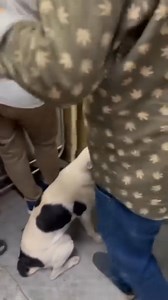 2.3K views · 36 reactions | Memes Hub on Reels | Facebook