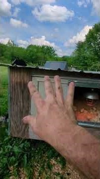 Mobile, automated #chicken brooder