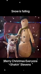 #snow #christmas #cold #snowman #ice #freeze #snowday #snowstorm #merrychristmas #christmas #dog #dogs #foryourpage | destinyschis