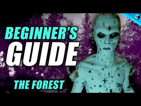 The Forest Beginner's Guide in 7 Minutes - 2020 Tips and Tricks