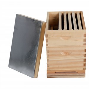 [Hot Item] Australia Bee Hives Beekeeping Equipment Wooden 8 10 Frame Beehive Box