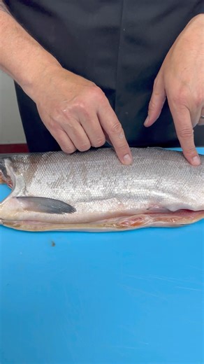 2.3K views · 37 reactions | Wild Alaska Salmon season is finally back and we are celebrating with a Sockeye Salmon deep dive with Concept Executive Chef Dan Enos! | The Oceanaire Seafood Room | Facebook