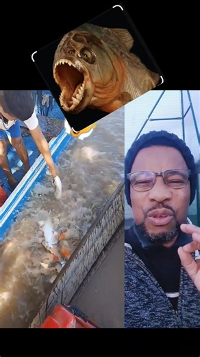 Men zen pwason fèk rive, le mon Gen bagay Nan menl. | Grenier Etienne