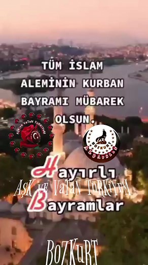 13K views · 269 reactions | BoZKuRTLaR on Reels | Facebook