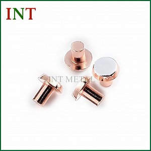 [Hot Item] Agni Electrical Contact Rivets