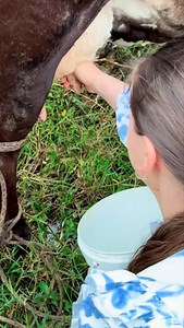 97K views · 1.6K reactions | Milchprodukte selber machen  #Milch #Butter | Simhalily | Facebook