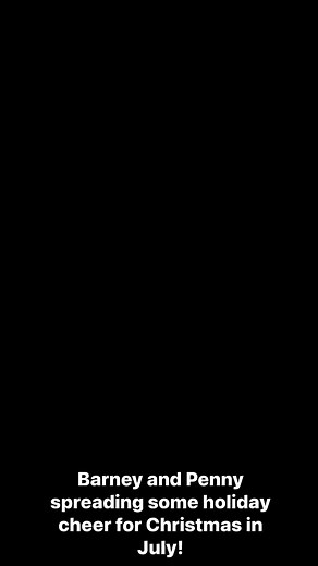 2.1K views · 39 reactions | Merry Christmas in July from Barney and Penny! | Mutts in a Rut Rescue | Facebook