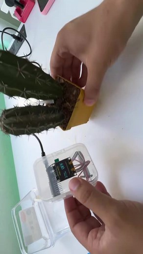 Riego automático con ESP32 para cuidar tus plantas