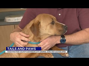 Tails and Paws for Friday, March 24, 2023