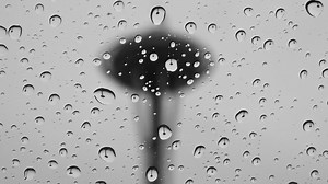 Rainy weather returns to western Washington