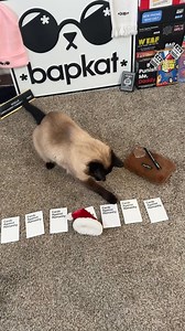 228K views · 12K reactions | Happy holidays from Noelle and I #pussypack #cat #bap #fyp #oof #cardsagainsthumanity. | bap.kat | Facebook