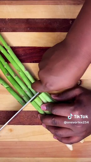 One Vortex 254 on TikTok