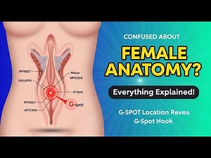 Female Anatomy