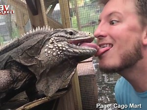 😂Monthly funny videos 2019, Best Fail & Win Compilation! | World Wide Viral Videos