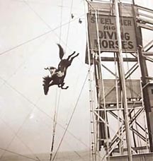 Controversial diving horses show to return to Atlantic City - Horse & Hound