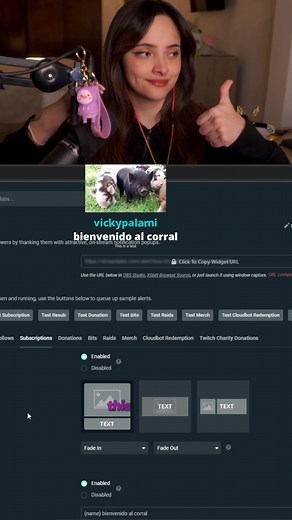 Configura Alertas de Streaming con Streamlabs Fácilmente
