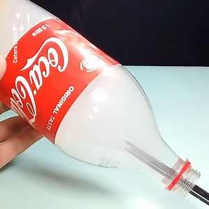 Well, now we know how we're going to spend our Sunday. | Metro