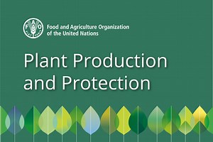Transforming rural communities in Uzbekistan with climate-smart agriculture