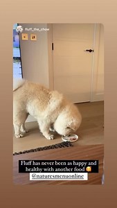 Natures Menu on Reels