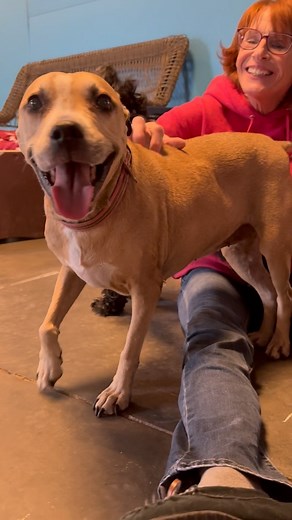 2.3K views · 473 reactions | What better way to help out a veteran...