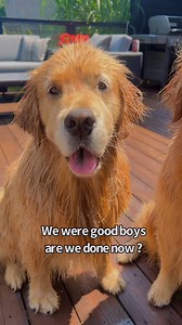 173K views · 11K reactions | it's been so hot we decided to do an outside bath, which meant they could get clean and keep cool at the same time. | Sterling Newton | Facebook